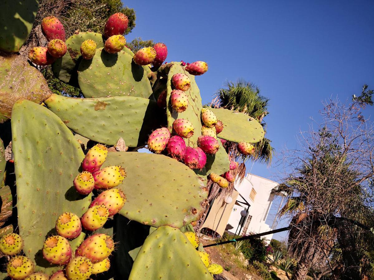 B&B Villa Gallipoli Bed & Breakfast Gallipoli