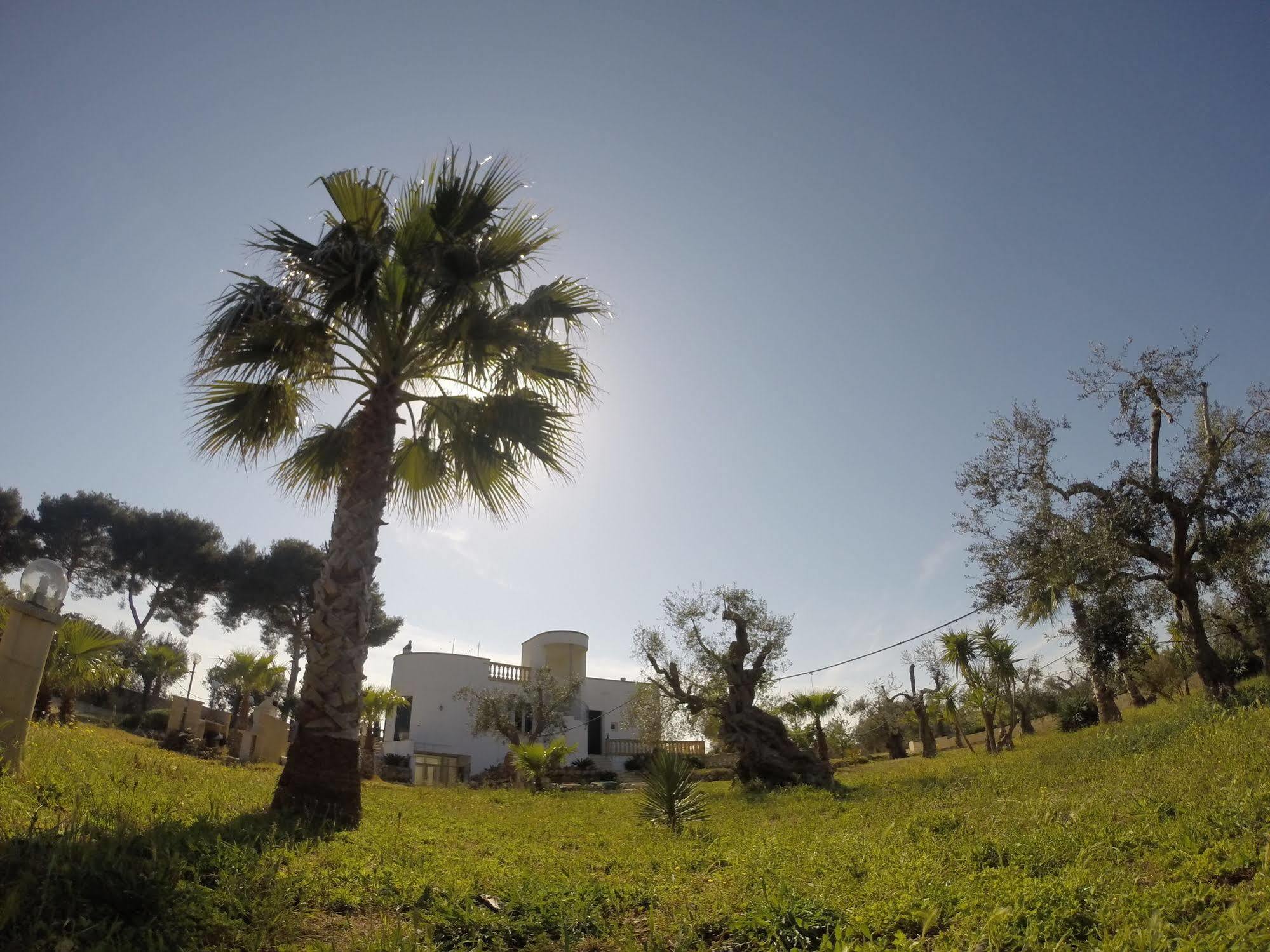 B&B Villa Gallipoli * Gallipoli